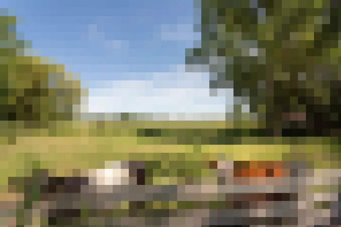 Vlietpark 36 Leiden thumbnail 21