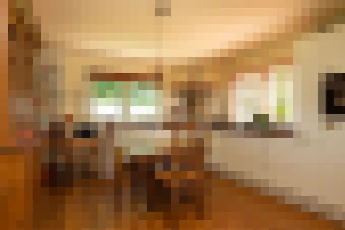 Vlietpark 36 Leiden thumbnail 7