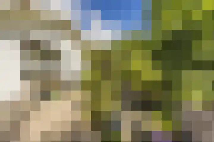 Vlietpark 39 Leiden thumbnail 19