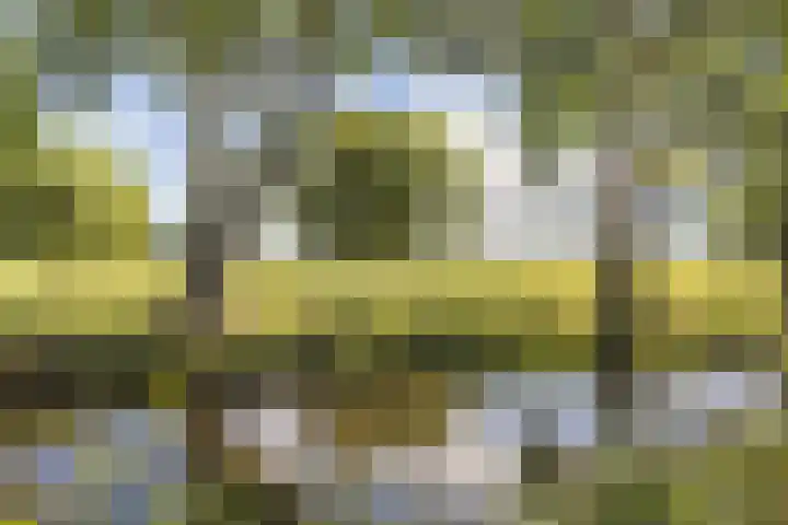 Vlietpark 39 Leiden thumbnail 25