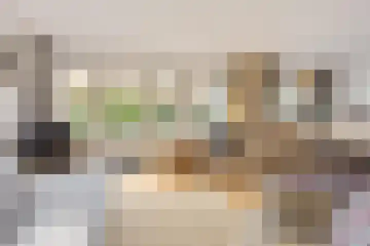 Vlietpark 39 Leiden thumbnail 4