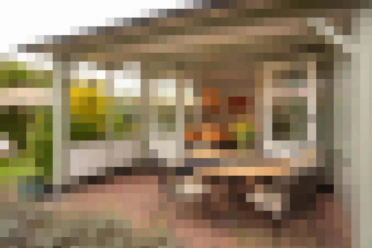 Vlietpark 52 Leiden thumbnail 16