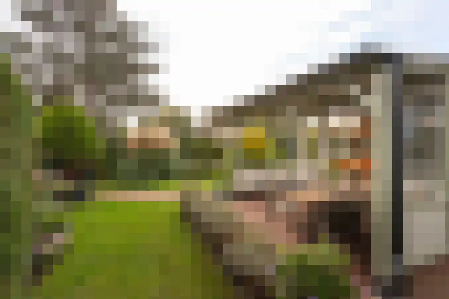 Vlietpark 52 Leiden thumbnail 17