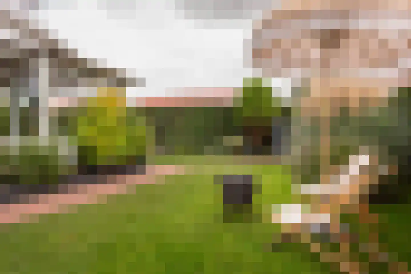 Vlietpark 52 Leiden thumbnail 21