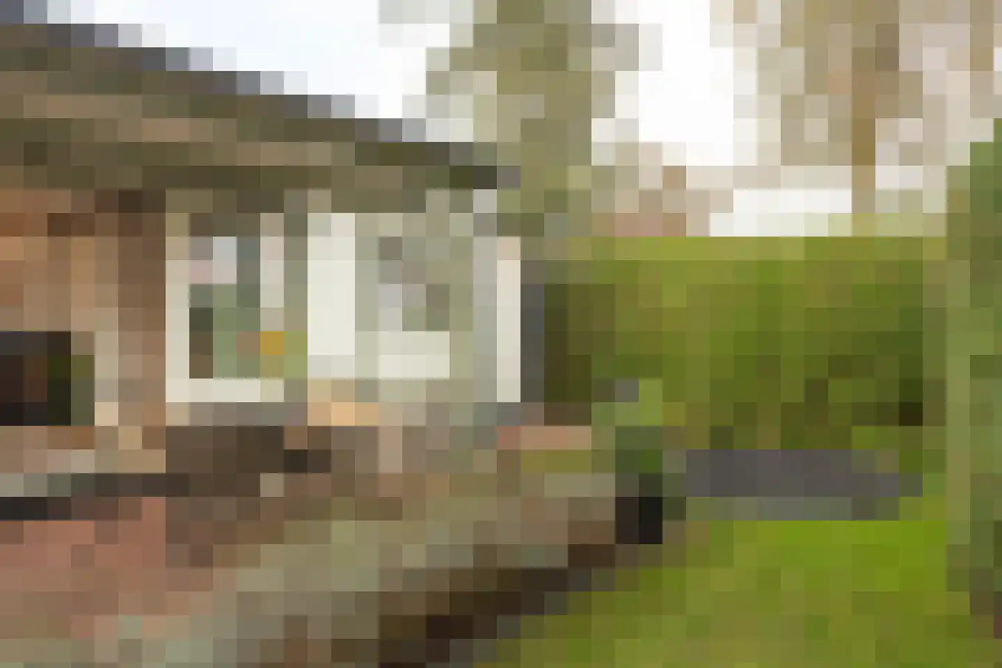 Vlietpark 52 Leiden thumbnail 22