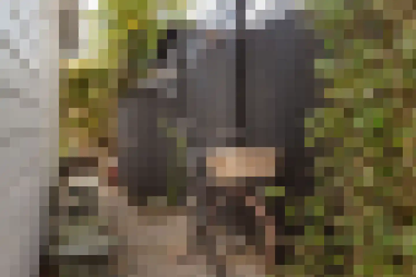 Vlietpark 52 Leiden thumbnail 23