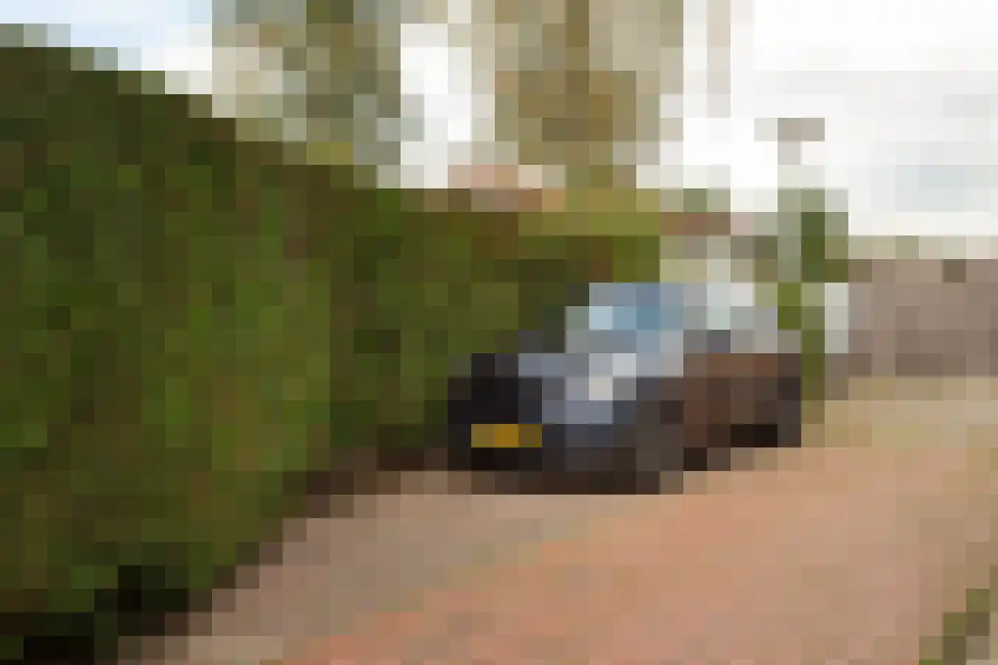 Vlietpark 52 Leiden thumbnail 25