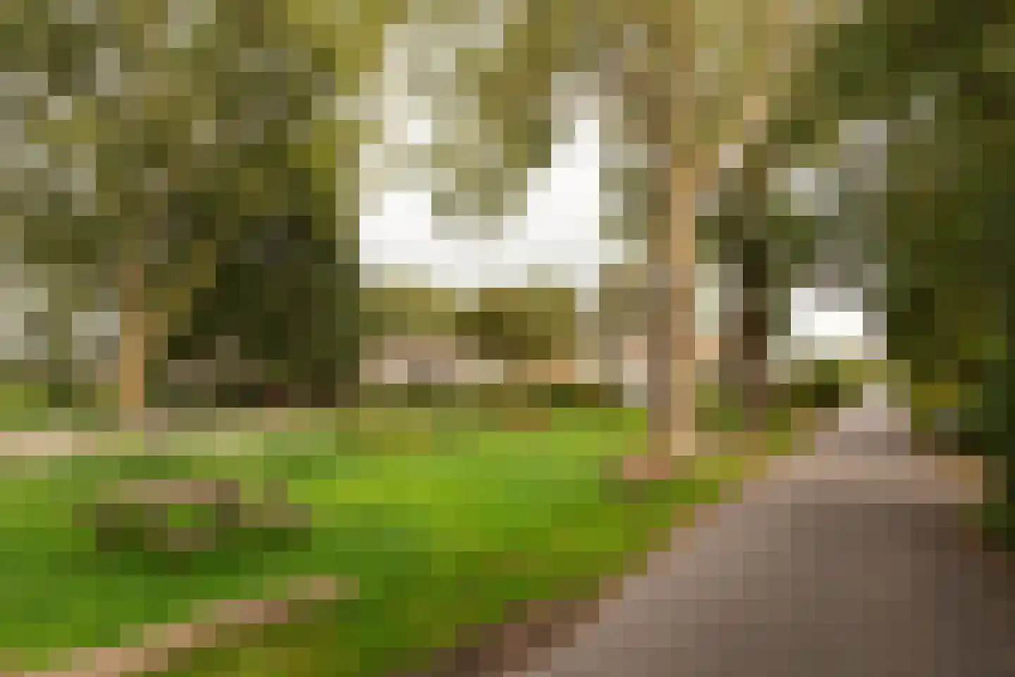 Vlietpark 52 Leiden thumbnail 28