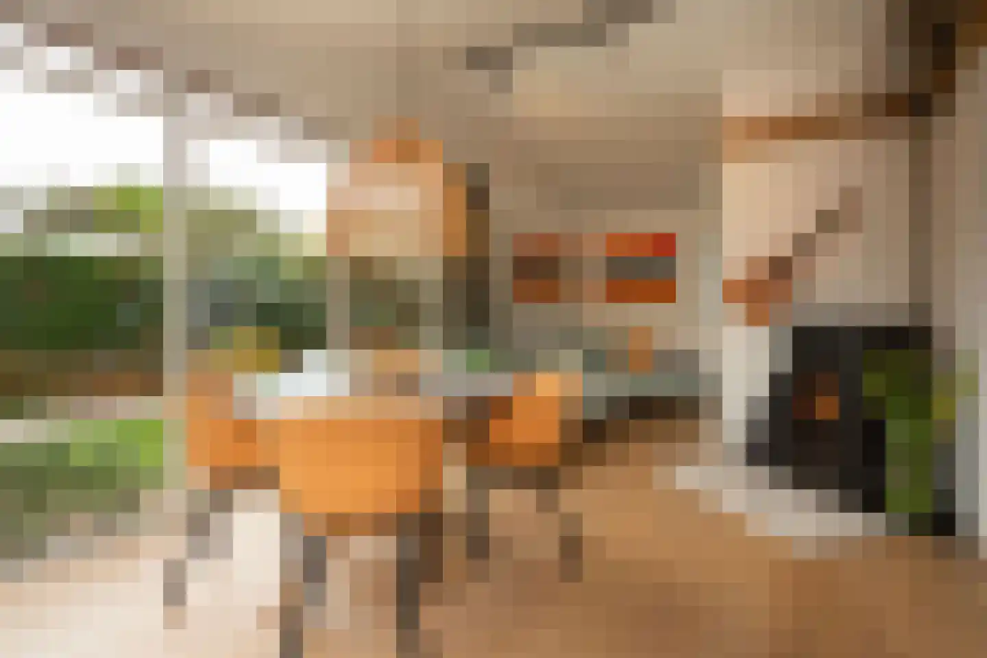 Vlietpark 52 Leiden thumbnail 5