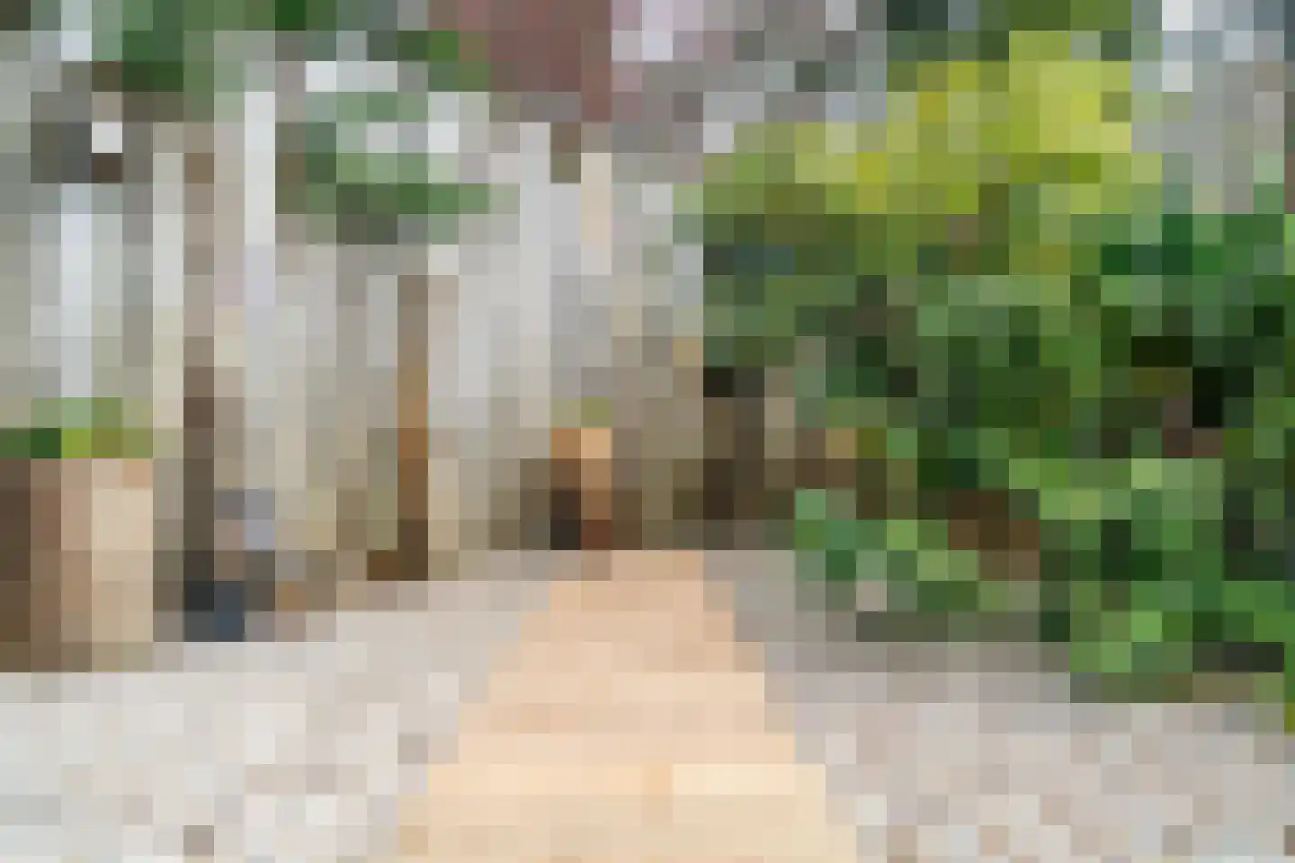Vlietpark 59 Leiden thumbnail 17