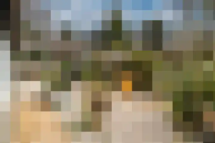 Vlietpark 59 Leiden thumbnail 19