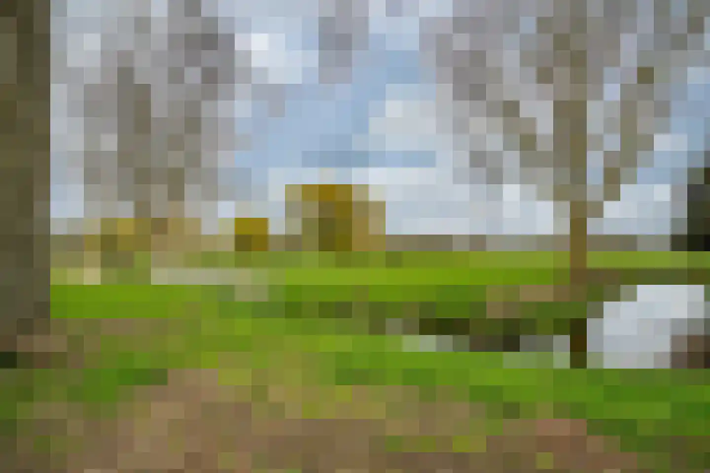 Vlietpark 59 Leiden thumbnail 4