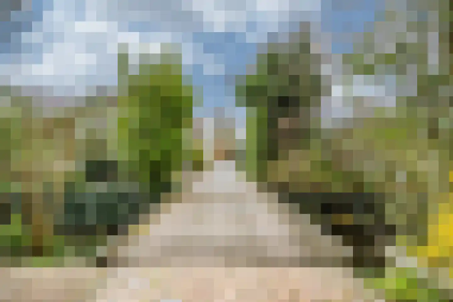Vlietpark 59 Leiden thumbnail 41