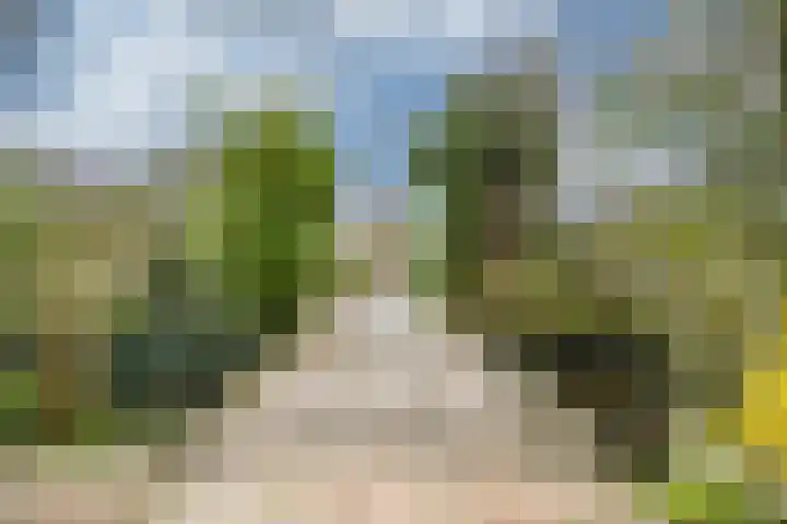 Vlietpark 59 Leiden thumbnail 41