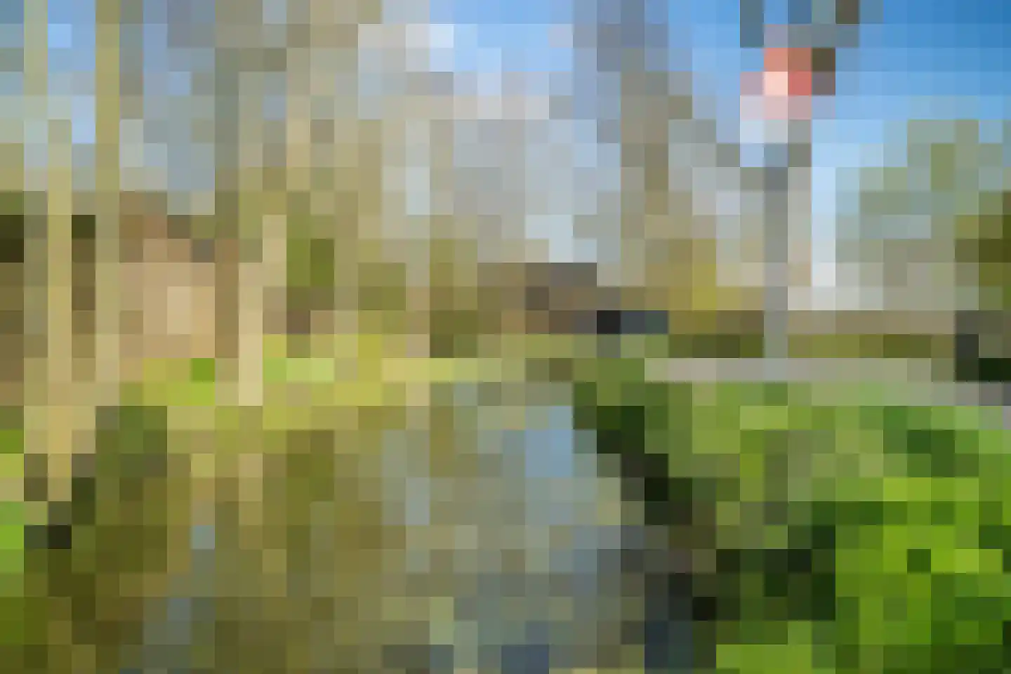 Vlietpark 59 Leiden thumbnail 43