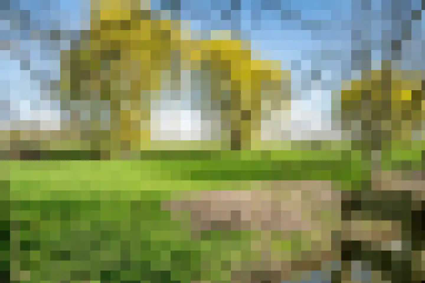 Vlietpark 59 Leiden thumbnail 44