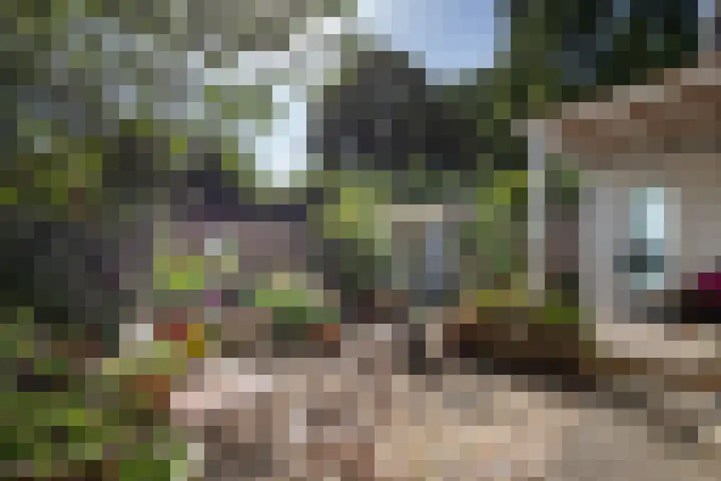 Vlietpark 8 Leiden thumbnail 14