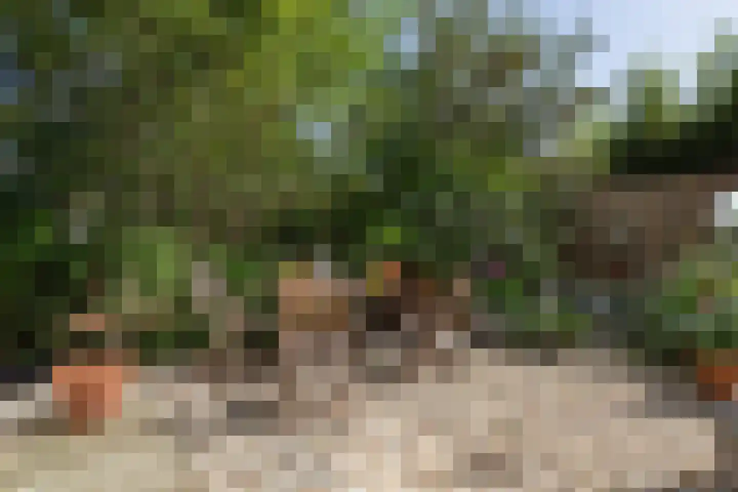 Vlietpark 8 Leiden thumbnail 16