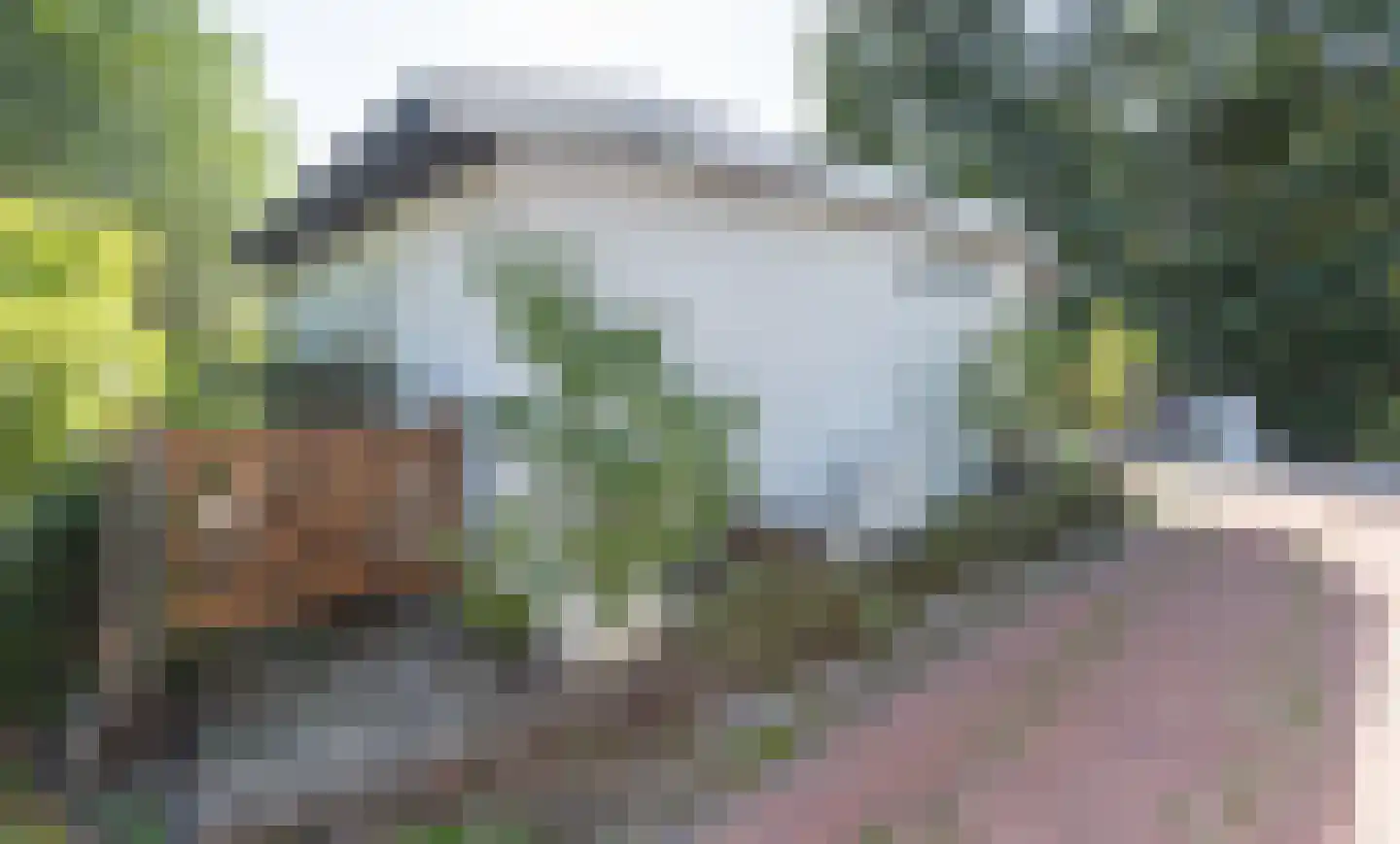 Vlietpark 8 Leiden thumbnail 17
