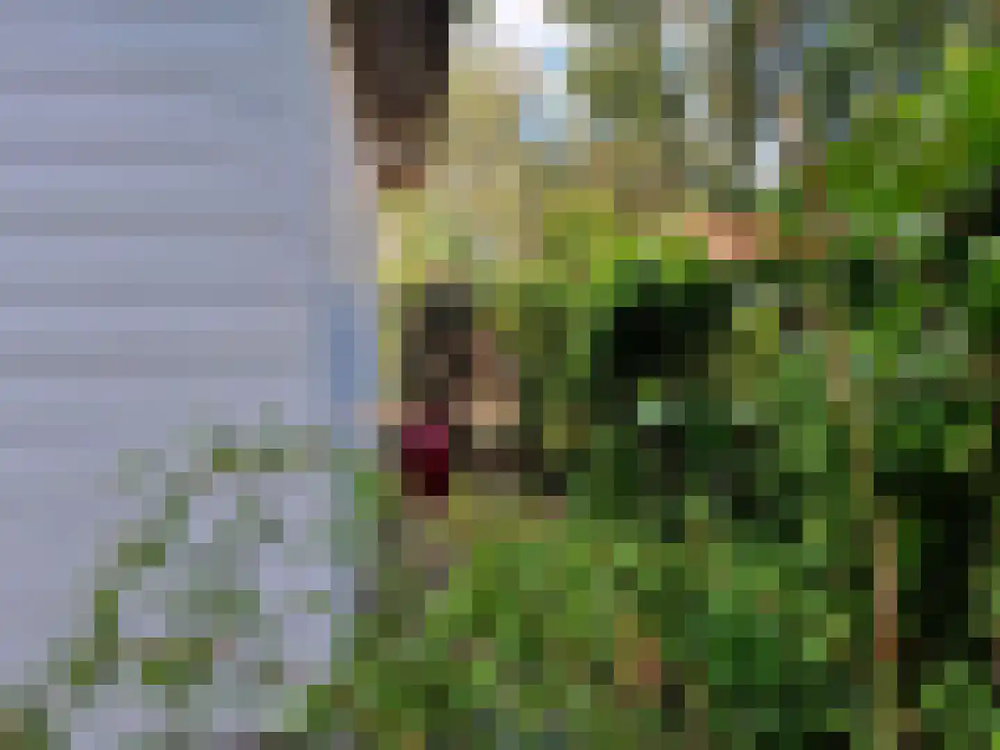 Vlietpark 8 Leiden thumbnail 18