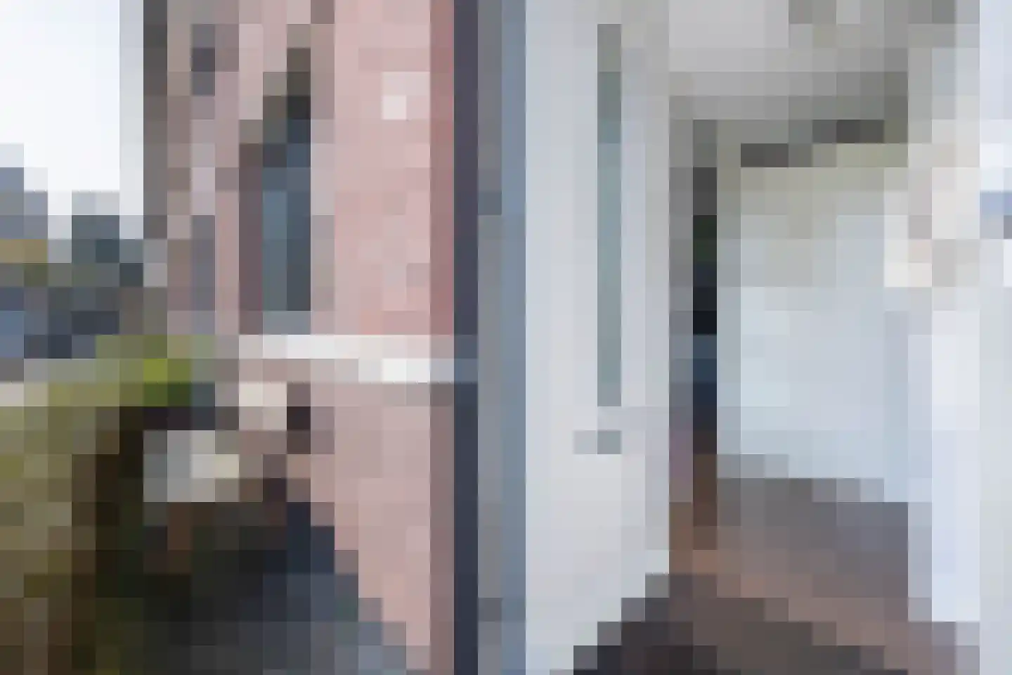 Vlietpolderstraat 12 Den Haag thumbnail 6
