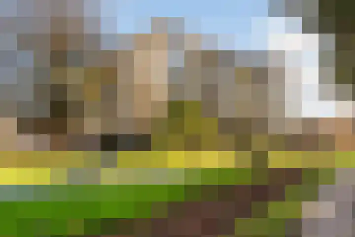 Vlietpolderstraat 15 Gouda thumbnail 5