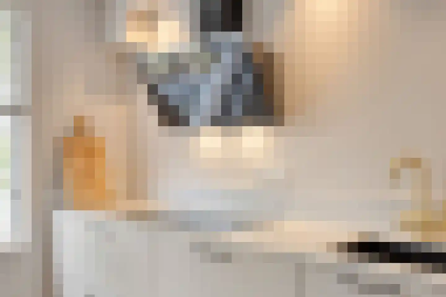 Vlietpolderstraat 4 Gouda thumbnail 11