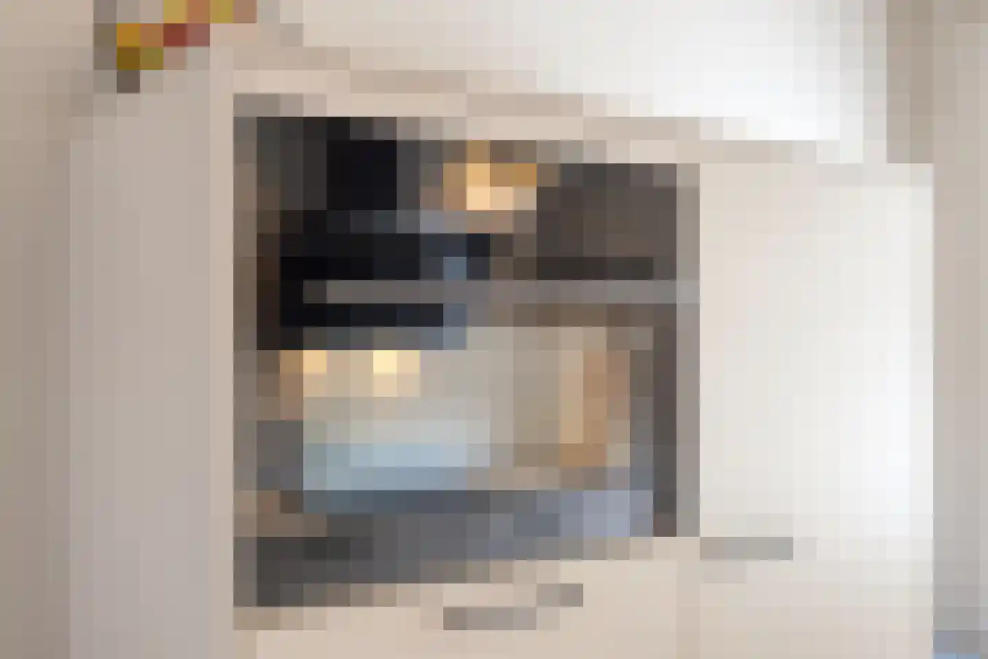 Vlietpolderstraat 4 Gouda thumbnail 12