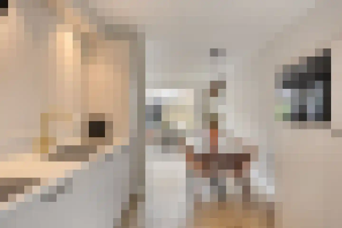 Vlietpolderstraat 4 Gouda thumbnail 13