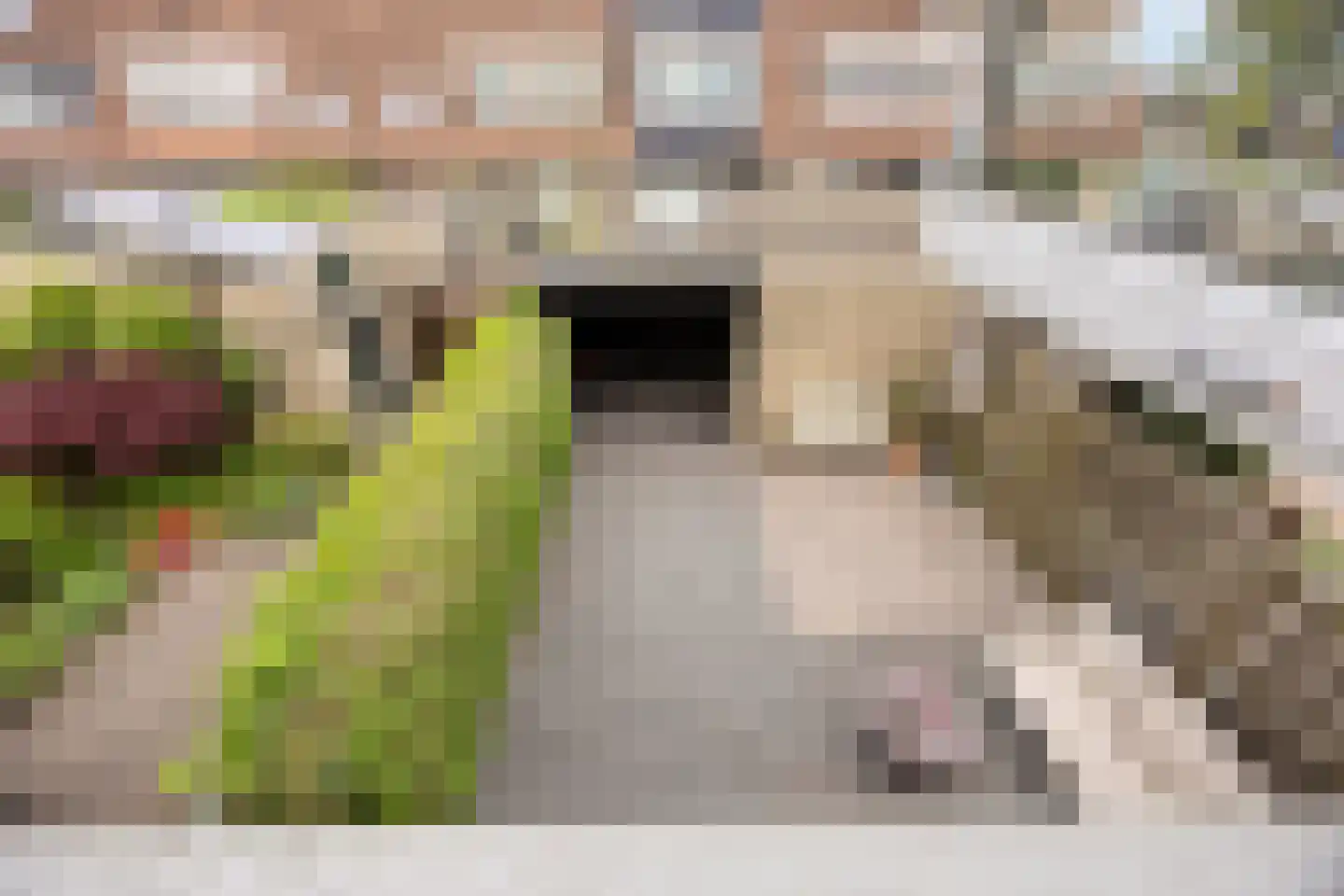 Vlietpolderstraat 4 Gouda thumbnail 32
