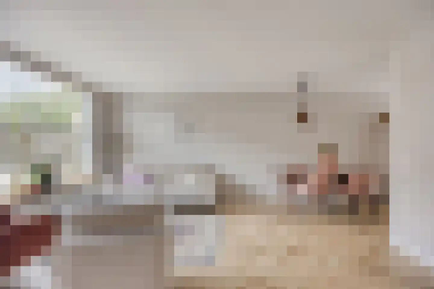 Vlietpolderstraat 4 Gouda thumbnail 8