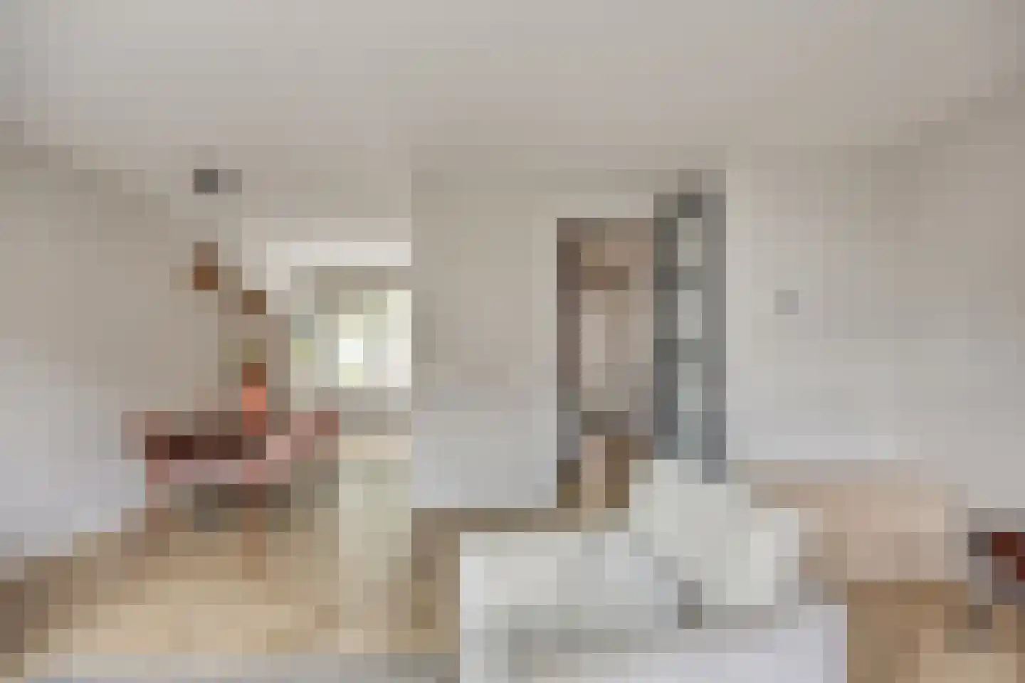 Vlietpolderstraat 4 Gouda thumbnail 9