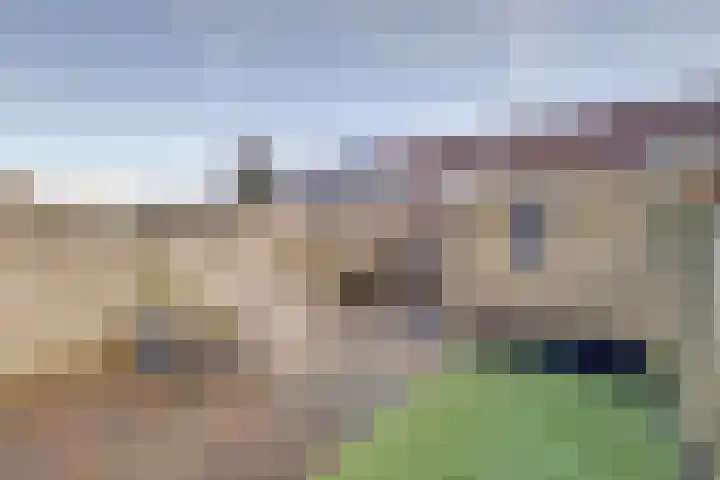 Vlietpolderstraat 8 Gouda thumbnail 34