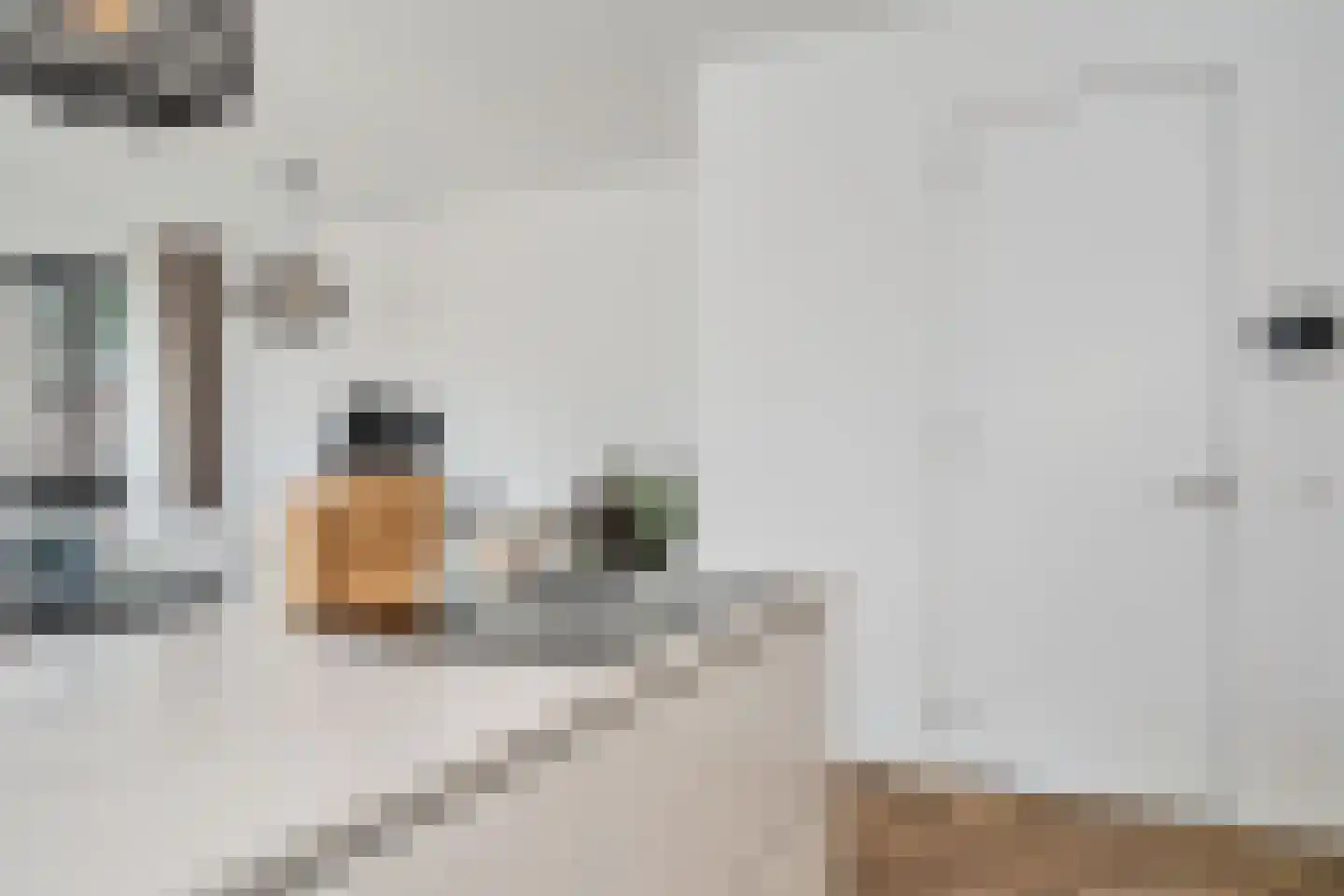Vlietsend 49 C Krommenie thumbnail 11