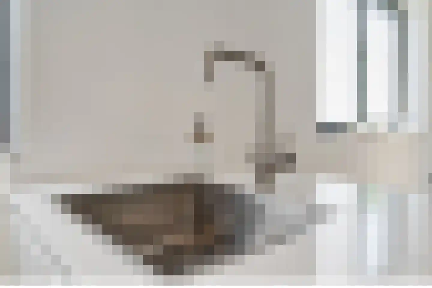 Vlietsend 49 C Krommenie thumbnail 12