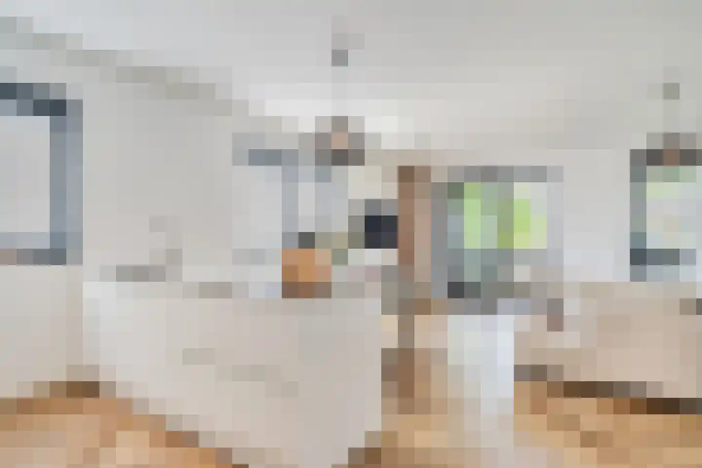 Vlietsend 49 C Krommenie foto 2