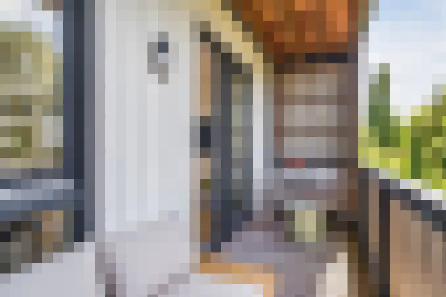 Vlietsend 49 C Krommenie thumbnail 36