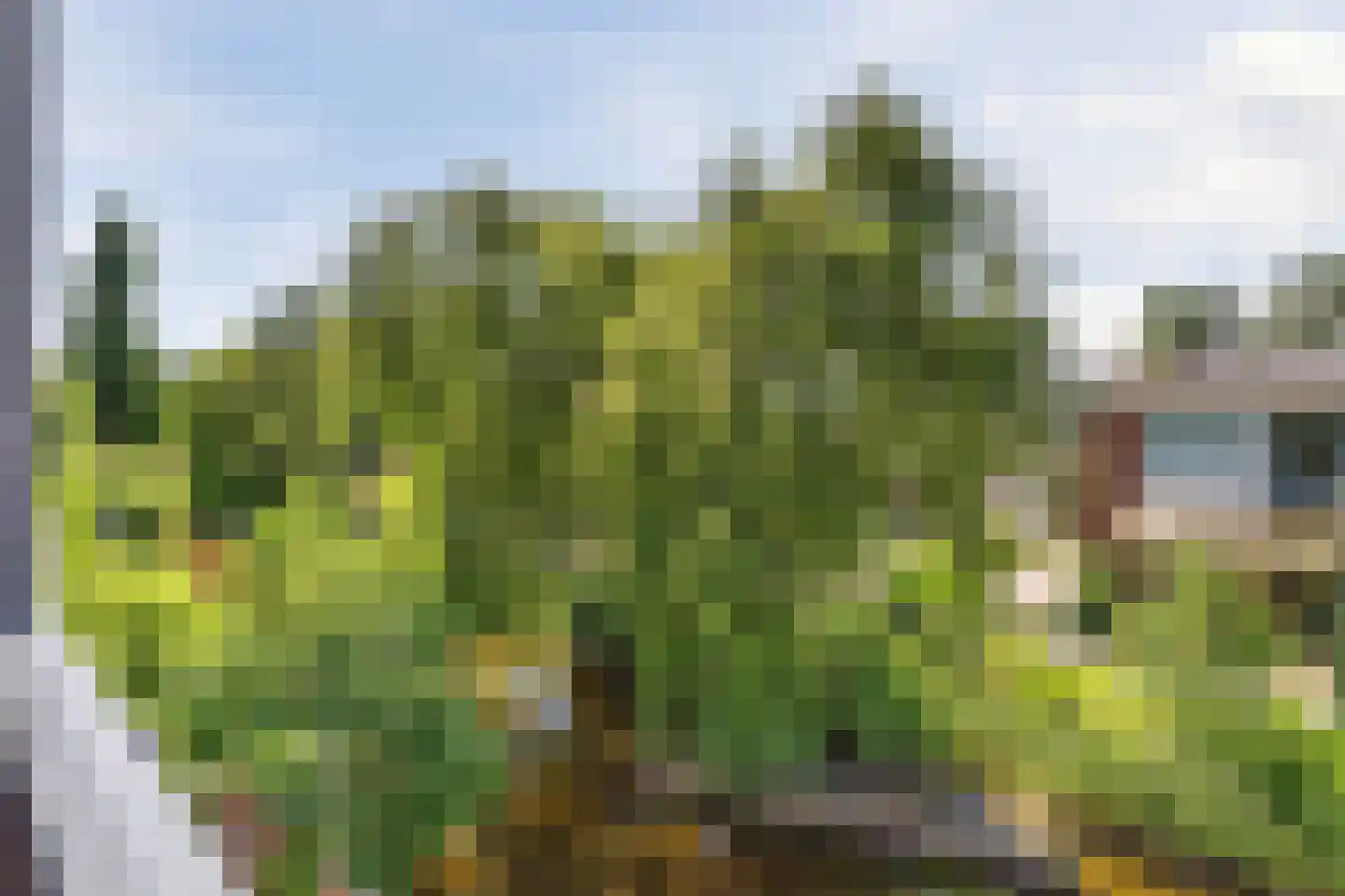 Vlietsend 49 C Krommenie thumbnail 37
