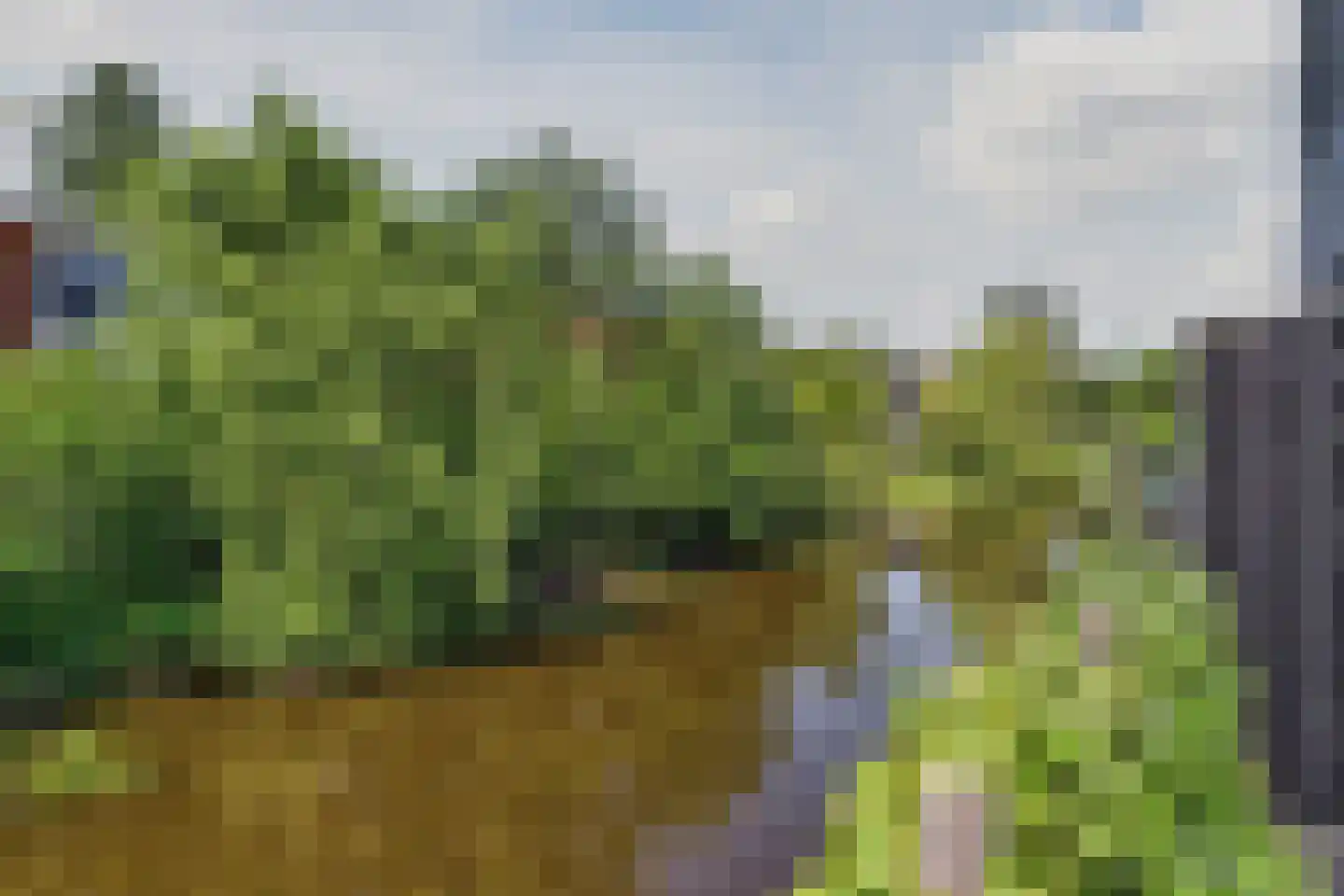 Vlietsend 49 C Krommenie thumbnail 39