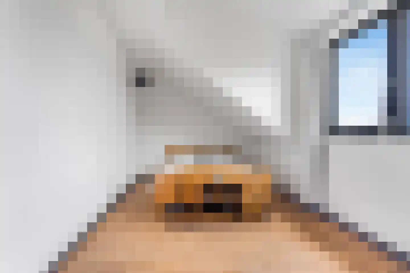 Vlietsend 49 T Krommenie thumbnail 12