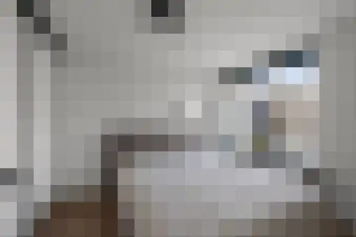 Vlietsend 52 C Krommenie thumbnail 11