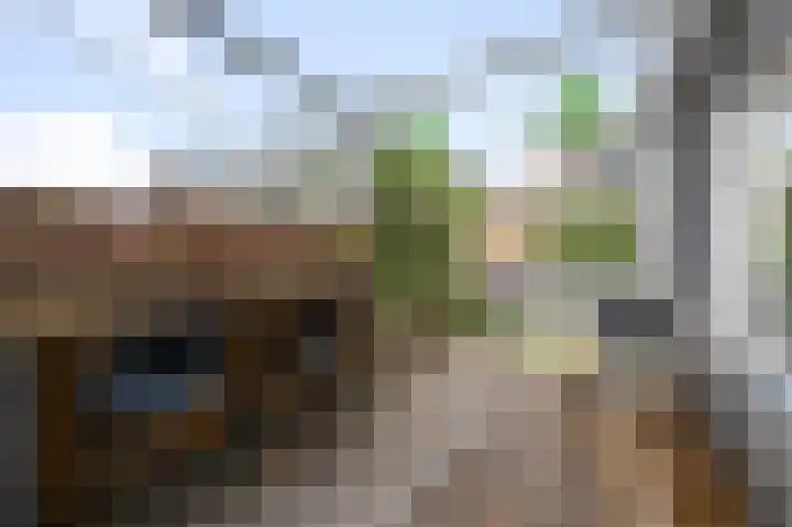 Vlietsend 52 C Krommenie foto 2