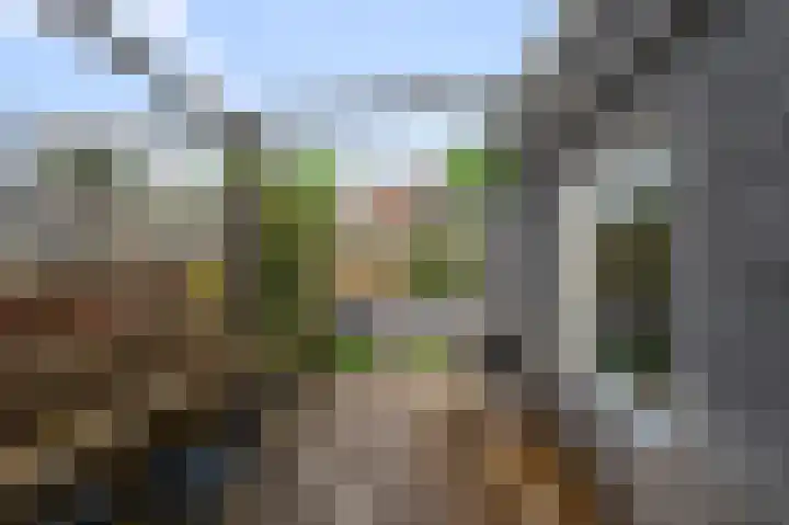 Vlietsend 52 C Krommenie thumbnail 21