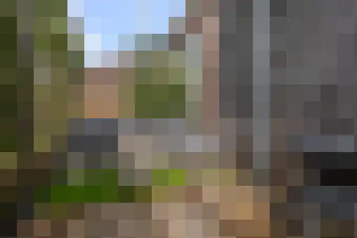 Vlietsend 52 C Krommenie thumbnail 22