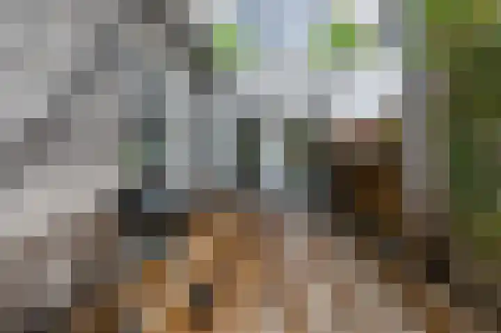 Vlietsend 52 C Krommenie thumbnail 23