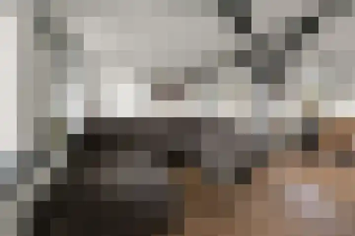 Vlietsend 52 C Krommenie thumbnail 9