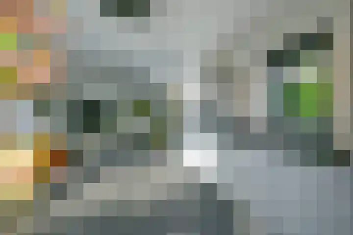 Vlietsingel 13 A Medemblik thumbnail 19