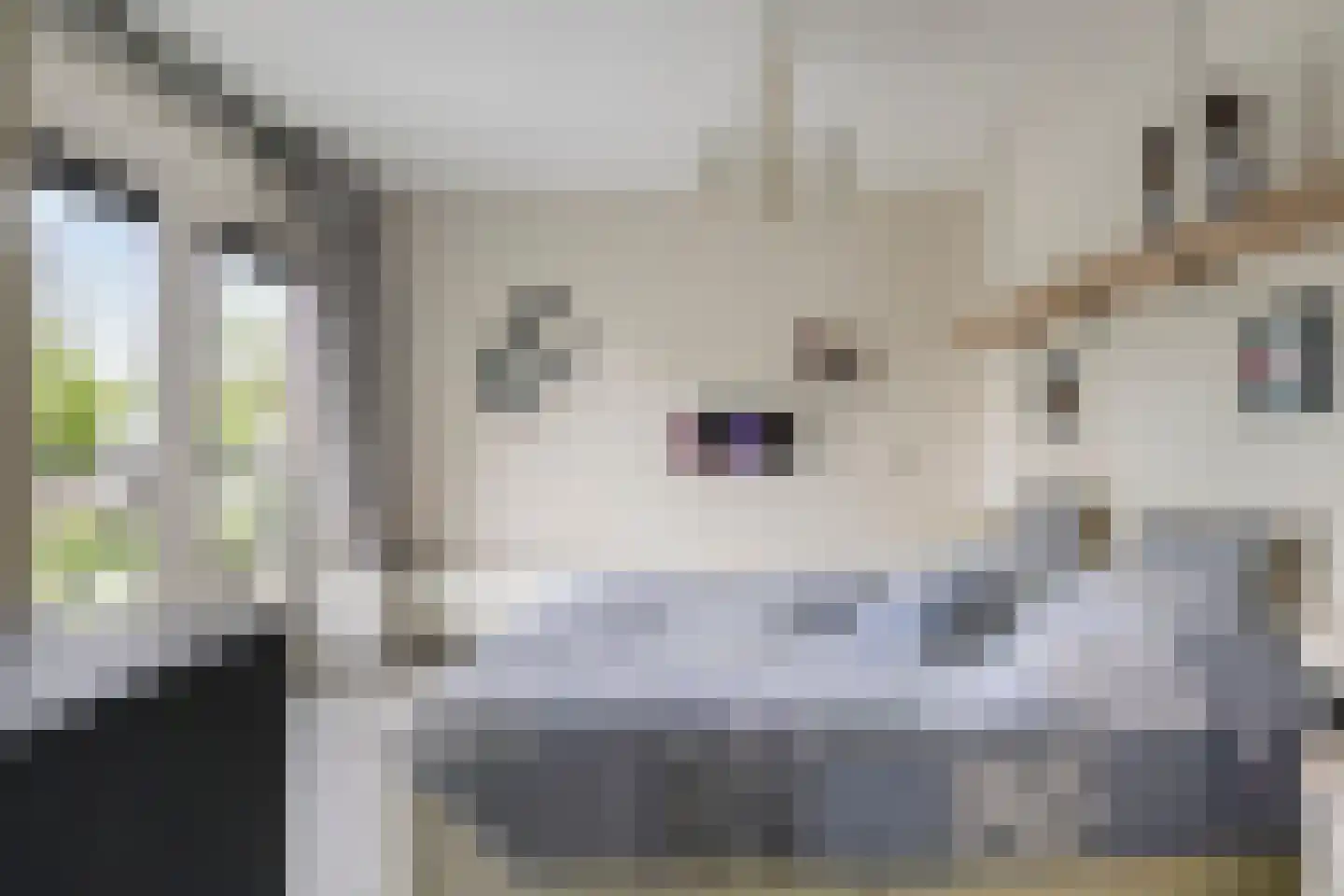 Vlietsingel 20 Leusden thumbnail 16