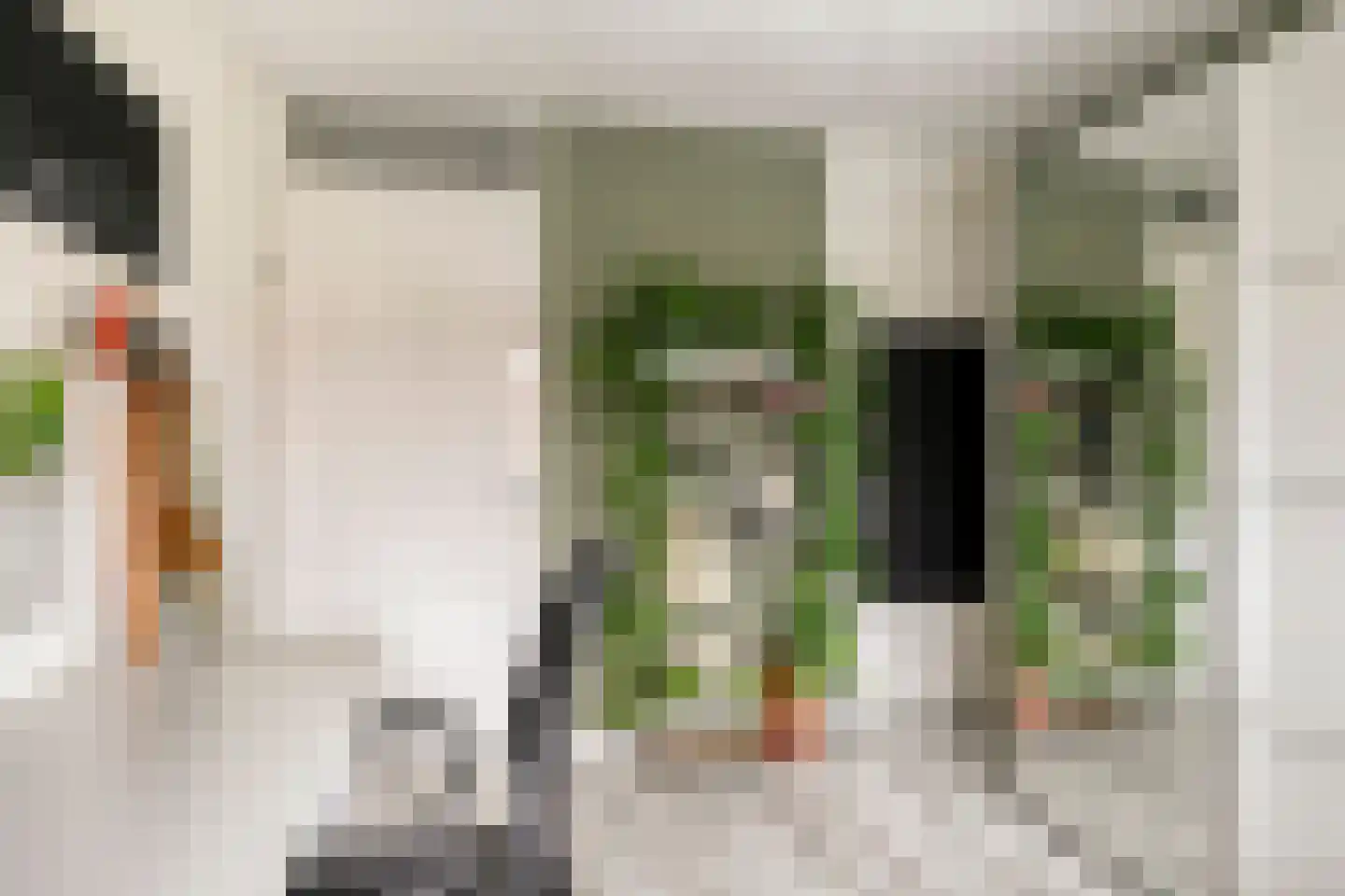 Vlietsingel 20 Leusden thumbnail 19