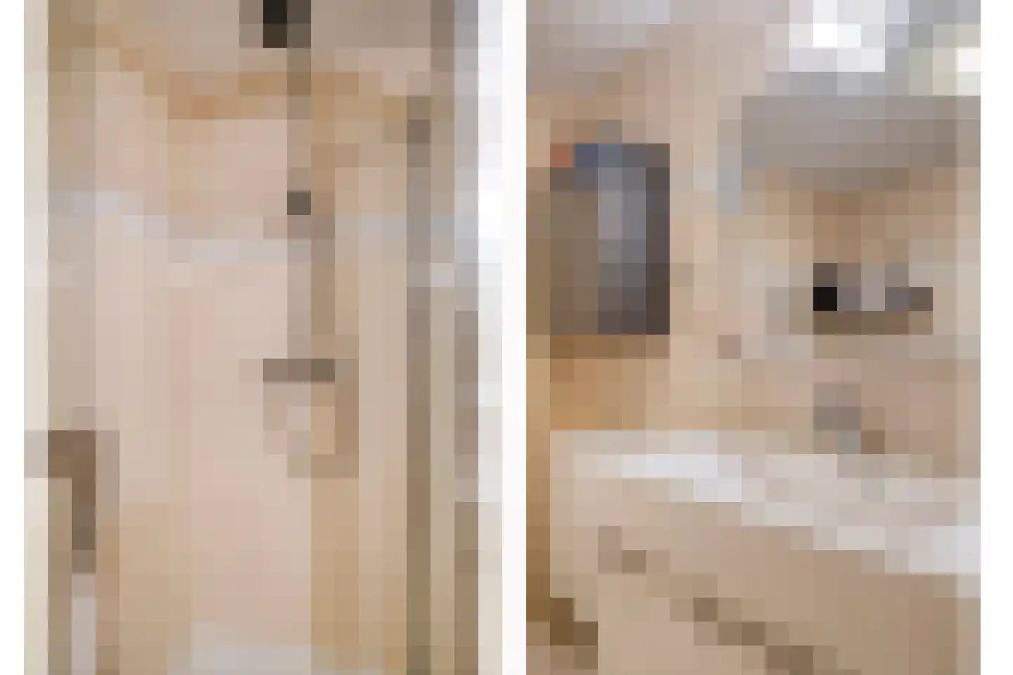 Vlietsingel 20 Leusden thumbnail 23